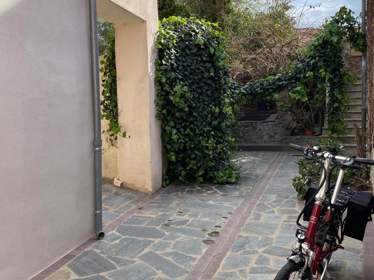 Studio Cabine A Collioure, A 100M De La Plage Et Des Commerces - Fr-1-309-153 Exterior foto